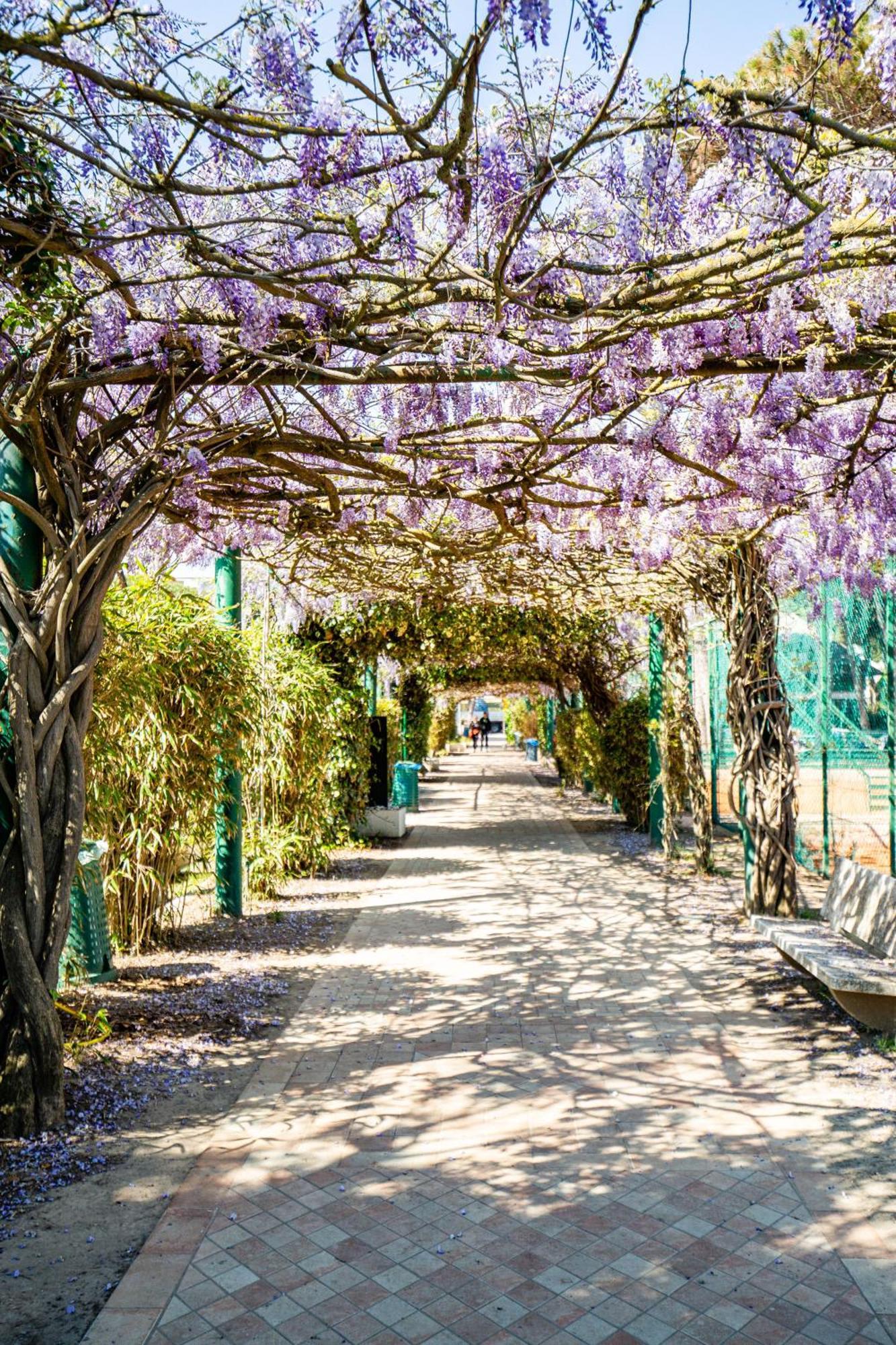 Marepineta Resort Milano Marittima Extérieur photo